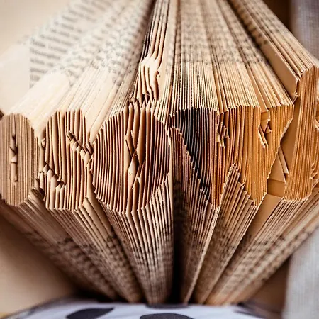 Kosowka Czarna Gora 3*