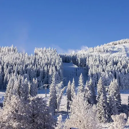 Kosowka Czarna Gora 3*