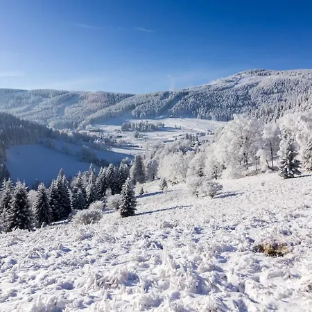 B&B Kosowka Czarna Gora 3*