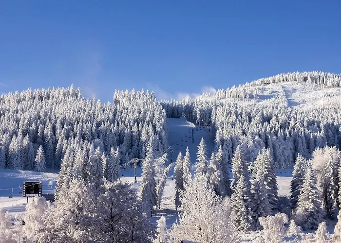 Kosowka Czarna Gora 3*