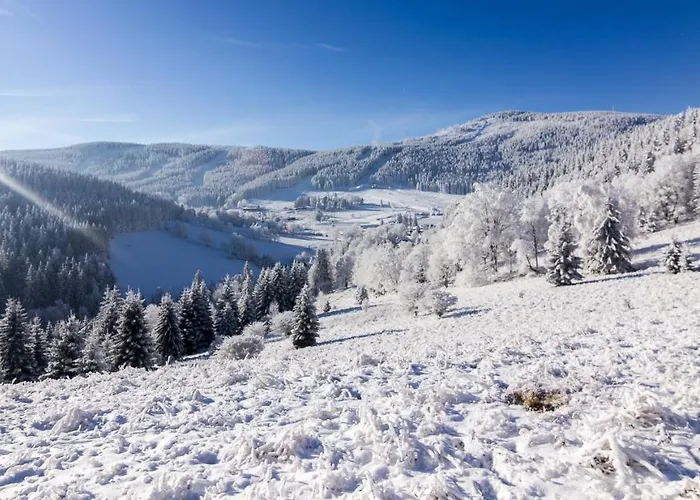 Bed & Breakfast Kosowka Czarna Gora 3*