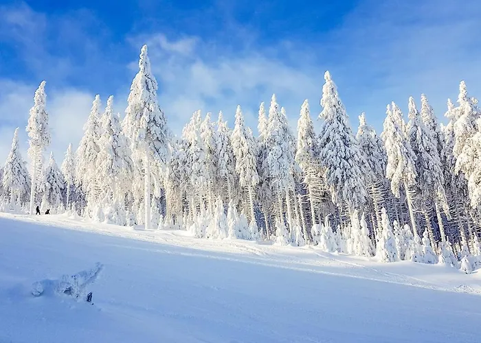 Kosowka Czarna Gora Stronie Śląskie