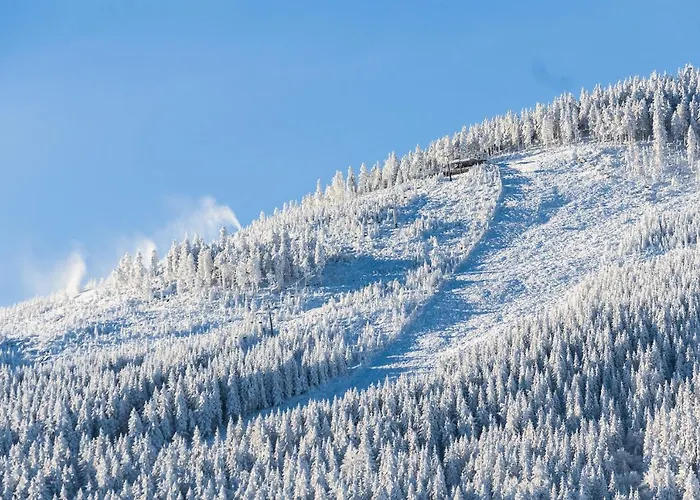 Kosówka Czarna Góra Nocleg ze śniadaniem Stronie Śląskie